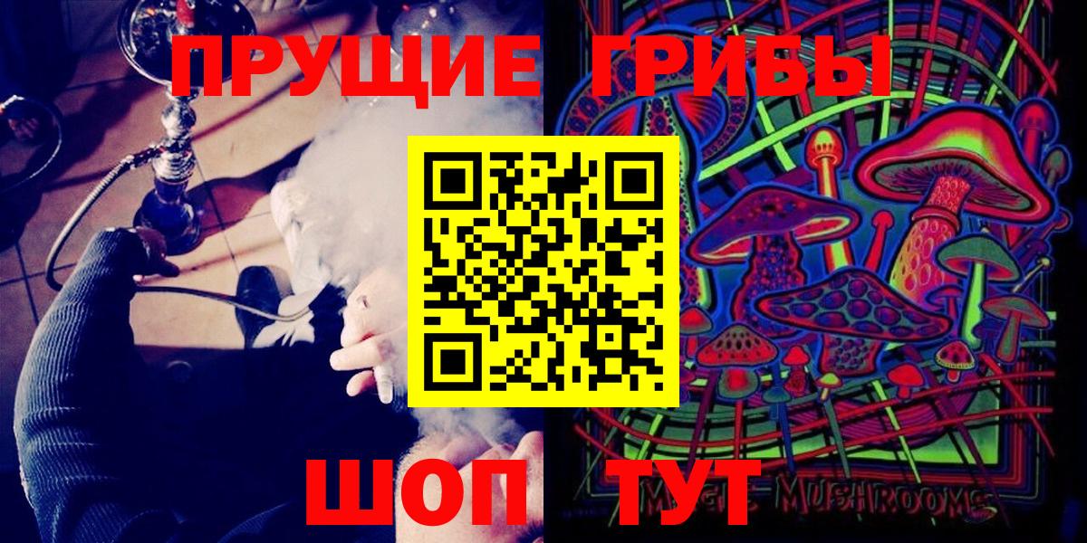 Галлюциногенные грибы прущие грибы  Вход с VPN  Бийск 