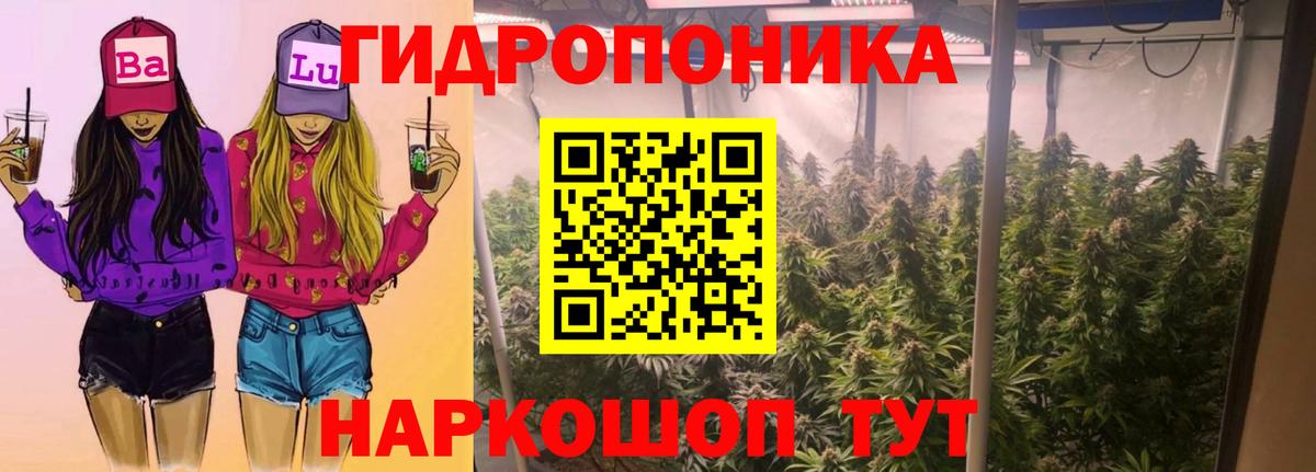 Канабис марихуана Бийск